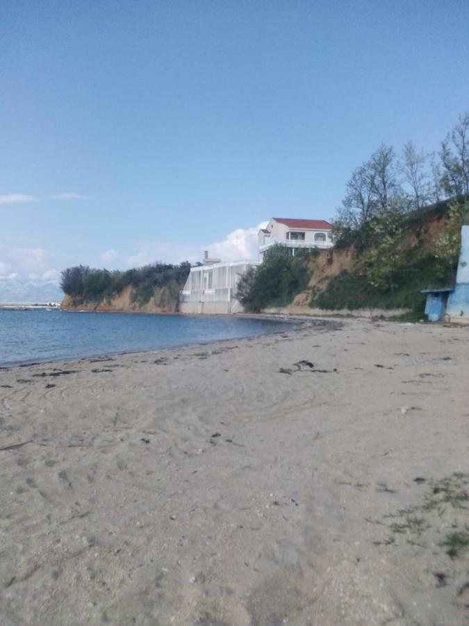 Lueva *